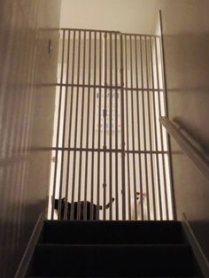 Kitten Gate for Stairs