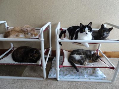 Indoor Cat Bed Towers